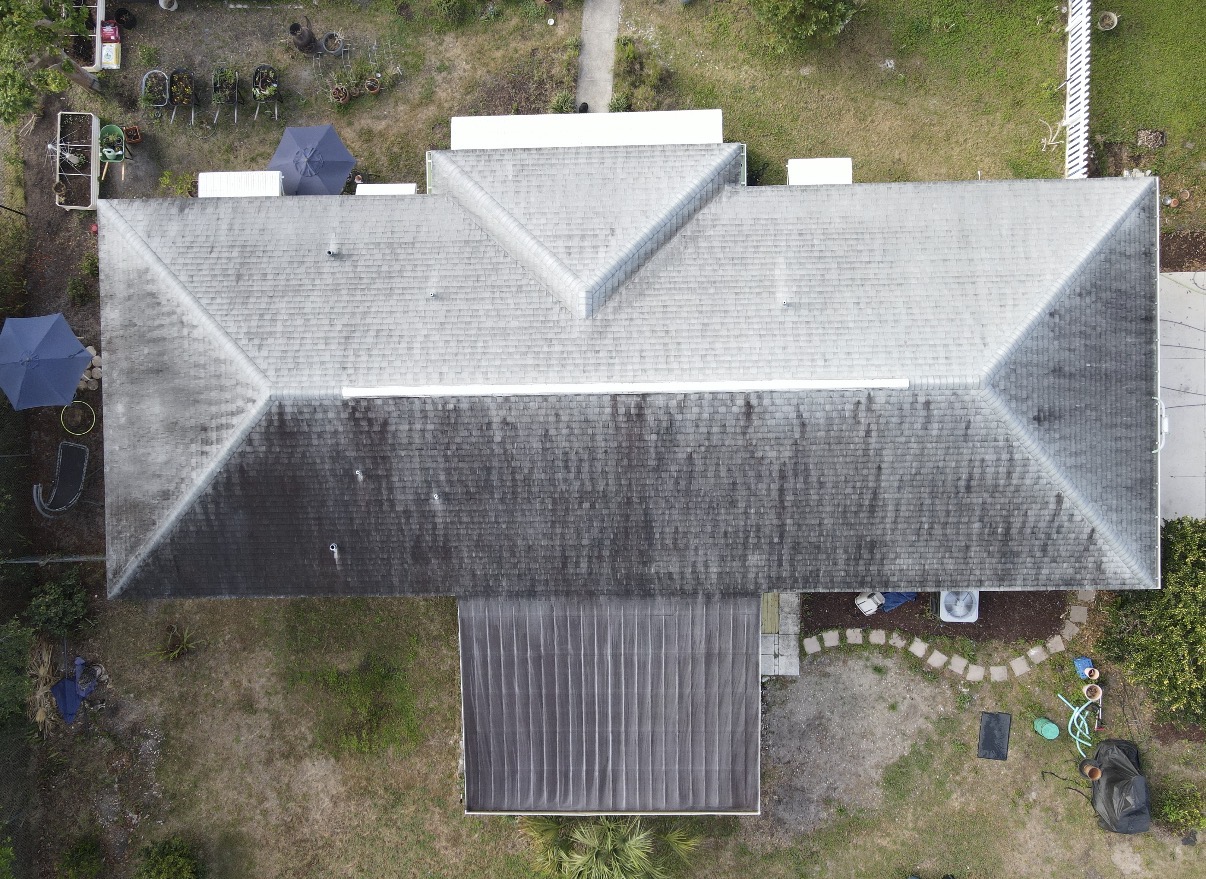 Roof before cleaning