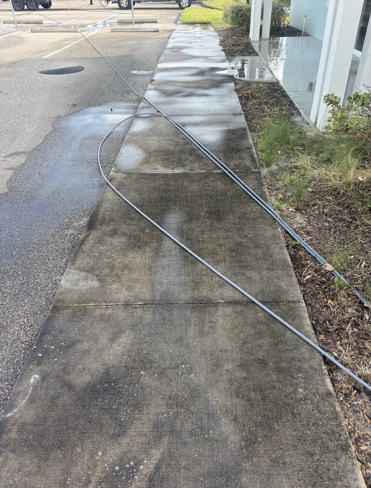 Sidewalk before pressure washing