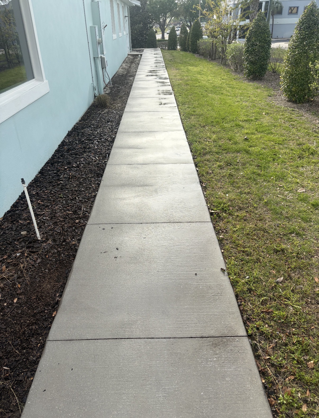 Sidewalk after pressure washing